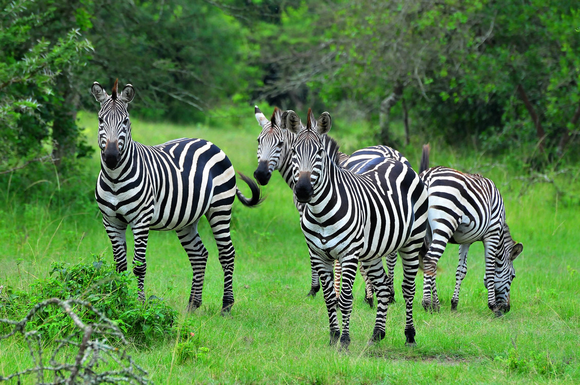 Best Places Uganda